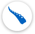 合同会社タコスキングダム｜TacosKingdom,LLC.