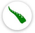タコキンのブログ